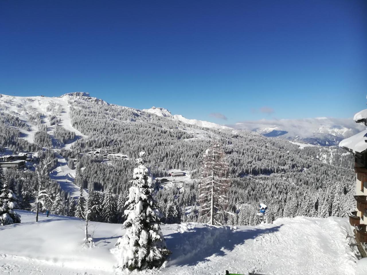 Appartamento Haus Sunshine Hermagor-Pressegger See Esterno foto